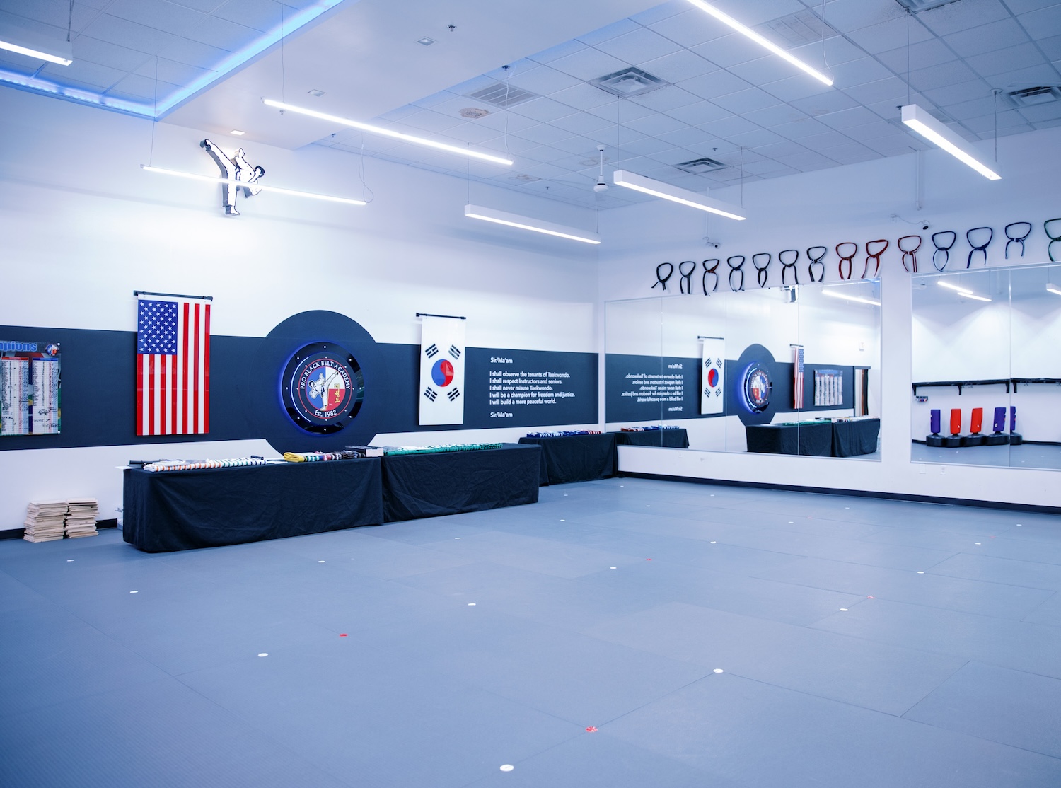 Professional Black Belt Academy - Melissa